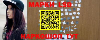 apvp Можга