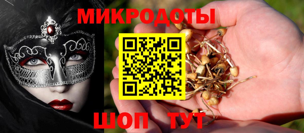 Псилоцибиновые грибы Cubensis  Псилоцибиновые грибы Psilocybe  Вход с VPN  Строитель 