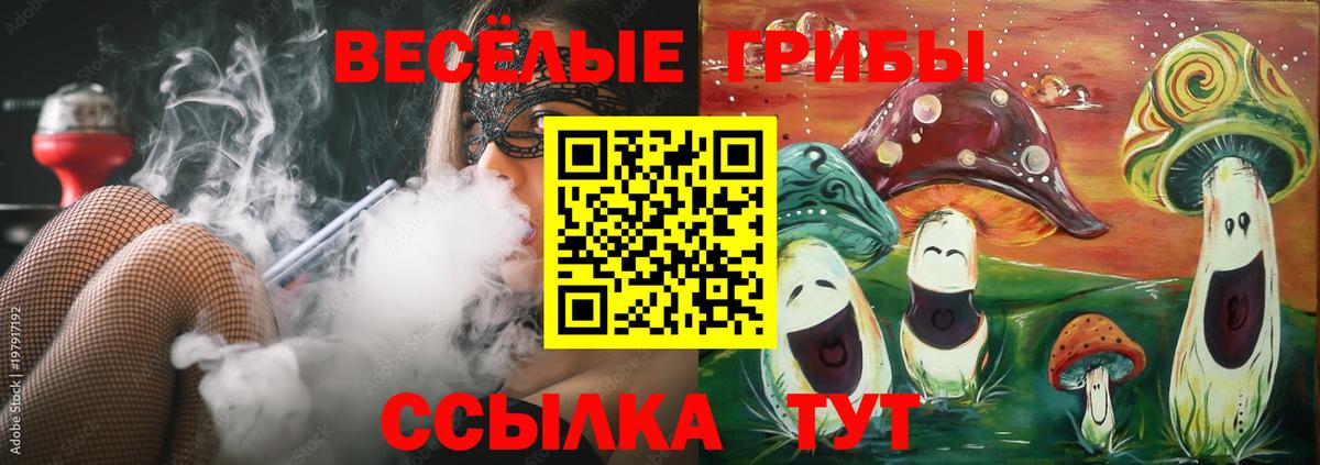 Псилоцибиновые грибы Psilocybe Строитель