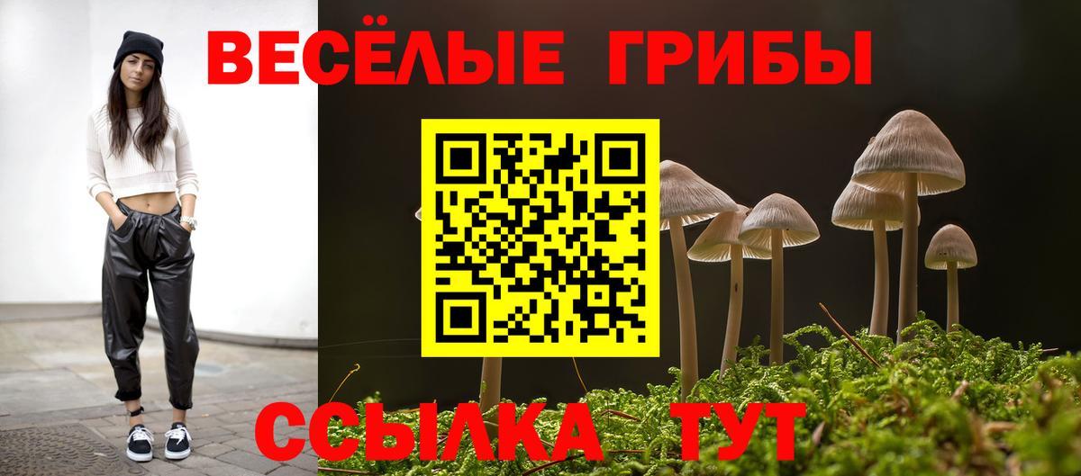 Alpha PVP СК   Гашиш  Строитель  Вход с VPN  Купить закладку  Меф кристаллы  COCAIN 